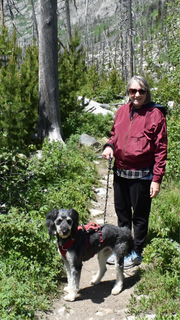 A woman and her grey and white dog are hiking on a wooded path in the mountains.